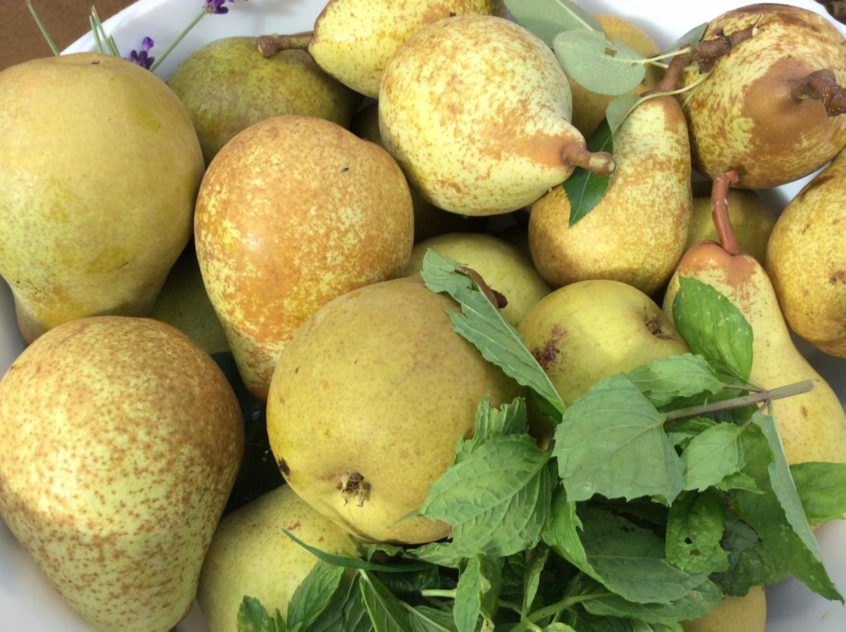 SelvignyTomates Cerises A La Ferme De Sorval别墅 外观 照片